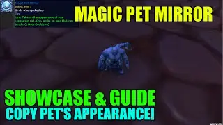 WoW Magic Pet Mirror - Toy Showcase and Guide