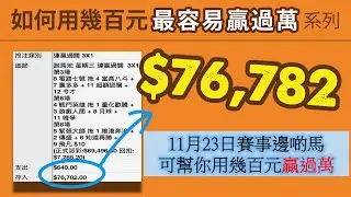 11月23日第5場值得留意的馬匹