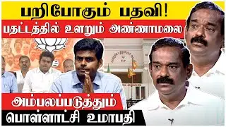 அண்ணாமலையை வச்சு செய்ய வேண்டிய நேரத்தில் செய்வோம்! | Pollachi Umapathy Interview | Stalin |Annamalai