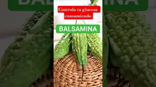 Receta SALTADO DE BALSAMINA I CAIGUA AMARGA #recetas #food #viral