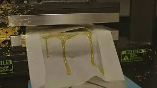 Natural History Lab and Extracts