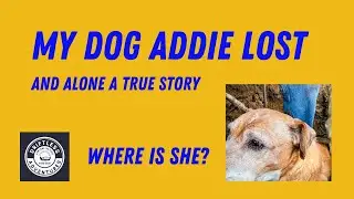 Searching for Addie can't believe she is gone!!!