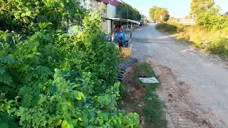 Amazing Project Clearing Trash Grass By Best & Driver KOMATSU D20P Bulldozer Pushing Trash Grass