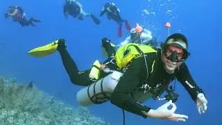 Safari 2024 Red Sea stingray diver center kuwait