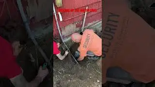 When digging up water lines turns into finding worms for the chicken #homestead #chicken #digging