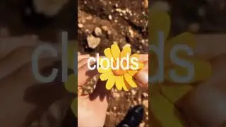 Illenium & Knock2 collab type beat