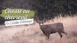 AUTO-SUFFISANCE EN NOURRITURE 🦌🥩  | Chasse au cerf mulet en Colombie-Britannique 2023