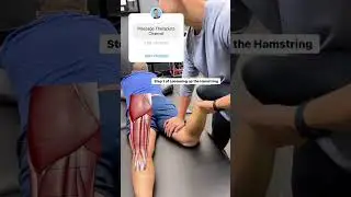 The Best Hamstring Massage