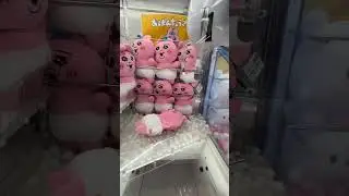 🇯🇵