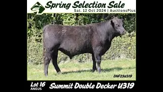 Lot 16 - Spring Selection Sale 2024 - Summit Double Decker U316 (DNF23U316)
