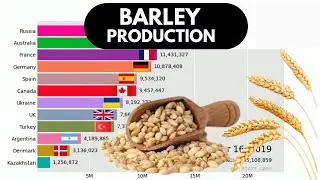Russia vs Australia | Top Barley Producers (1968-2022) | Bar Chart Race