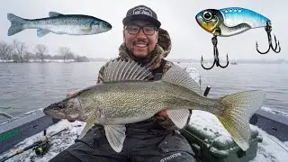 LIVE BAIT vs ARTIFICIAL LURE River Walleye Fishing Challenge!
