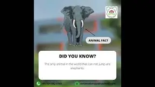 [01] Daily Fun Fact 🧠 | Soni Modern Public School | #shorts #school #funfacts #funfact #schoollife