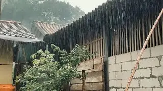 Non-Stop Tin Roof Rain | Relaxing Sleep Sounds All Night