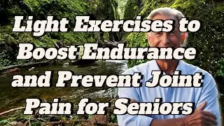 Light Exercises to Boost Endurance and Prevent Joint Pain for Seniors