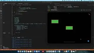 Flutter project bugs