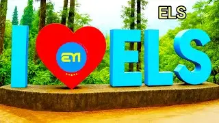 Els marketing platform / 9153181498