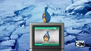 Karrablast Pok&eacute;dex Entry..wmv