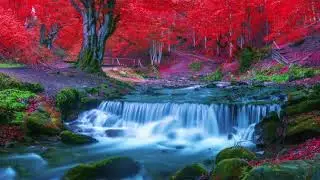Instant Relaxing Calm Mind Piano Music For Studying Stress & Anxiety