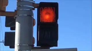 Durasig Pedestrian Signal