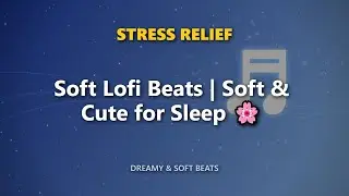 Soft Lofi Beats | Soft & Cute for Sleep 🌸