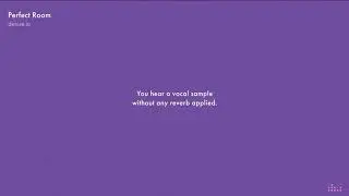 Zero metallic resonance Vocal with the Perfect Room reverb