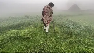 Farmer releted vlogs @mukeshBeniwal2929 