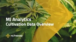 MJ Analytics Cultivation Data Overview