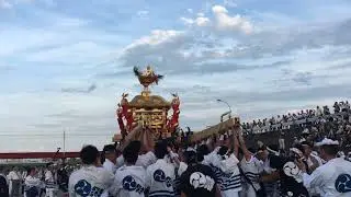 Mikoshi Togyo at Sumiyoshi Matsuri