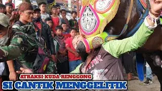 kuda Renggong - Atraksi Kuda Renggong si cantik