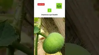 Tinda Benefits #shorts #healthtips