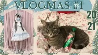 Vlogmas 2021 S6 Ep. 1 | Timbit Models, Trying Tim Biebs & Daily Life