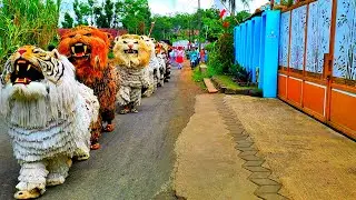 Asmr Lion dance and drumband parade in the village of Bringin