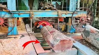 Big Tree cutting exciting video🪚 Tree cutting amazing skills ASMR.