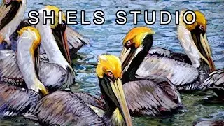 Painting Development in Sequence: Seabirds (Part 1) by Leslie Shiels