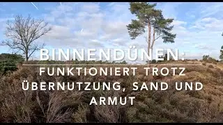 Naturkundliche Wanderung durch die Soester Duinen