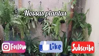 Mostrando nossas #plantas #folhagens #floricultura em casa 🌹🌸 deixe o like 👍