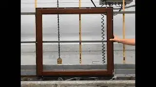Pogled okvirja / Na sledi lesu