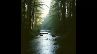 Lead Me In Your Righteousness. Psalm 5