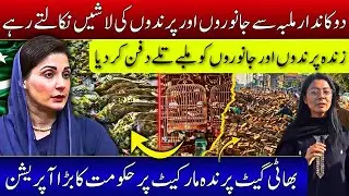 Lahore Bhatti Gate Birds Market Per Hakoomat Ka Bara Operation / zinda Animals Aur Birds Dafan 