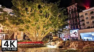 4K Fountain Show and Holiday Lights Walking Tour at the Americana Glendale CA