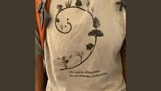 A d&oacute;nde se van las ara&ntilde;as cuando no est&aacute;n en sus telara&ntilde;a