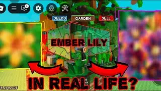 Grow a Garden fruit in Real Life part 1: Seed shop (buyable)