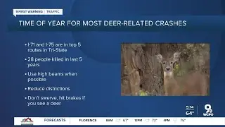 Watch out for deer