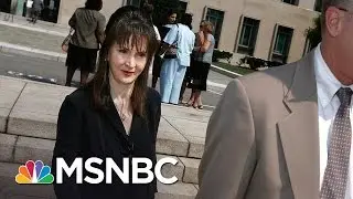 DC Madam's Lawyer Begins Releasing Details | Rachel Maddow | MSNBC