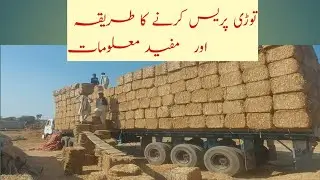 Torri press business in pakistan | Tori(bhosay) ka bundle bnane ka karobar