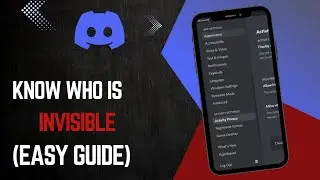 How to Know if Someone is Invisible on Discord (Tutorial)