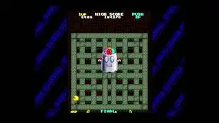 Pac-Man Arrangement - Final Boss