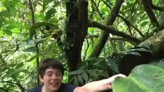 Jurassic Park Hill Hernandez