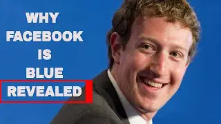 why facebook is blue | Mark Zuckerberg | Facebook is blue in color